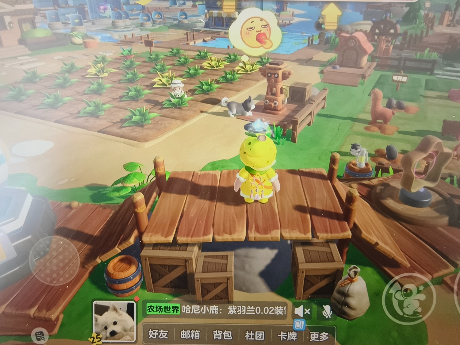 早上好呀