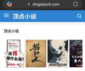 求顶点小说xh的书源