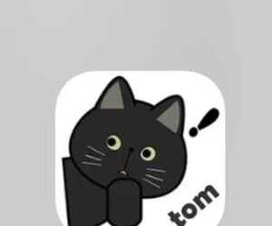 TOM ✈️