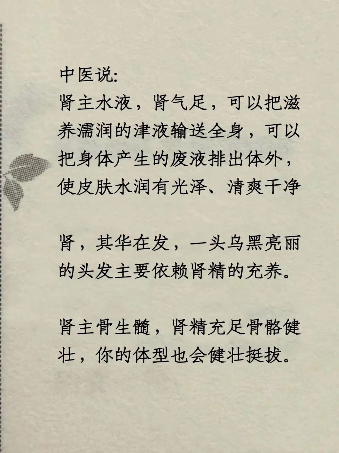 1000288427.webp