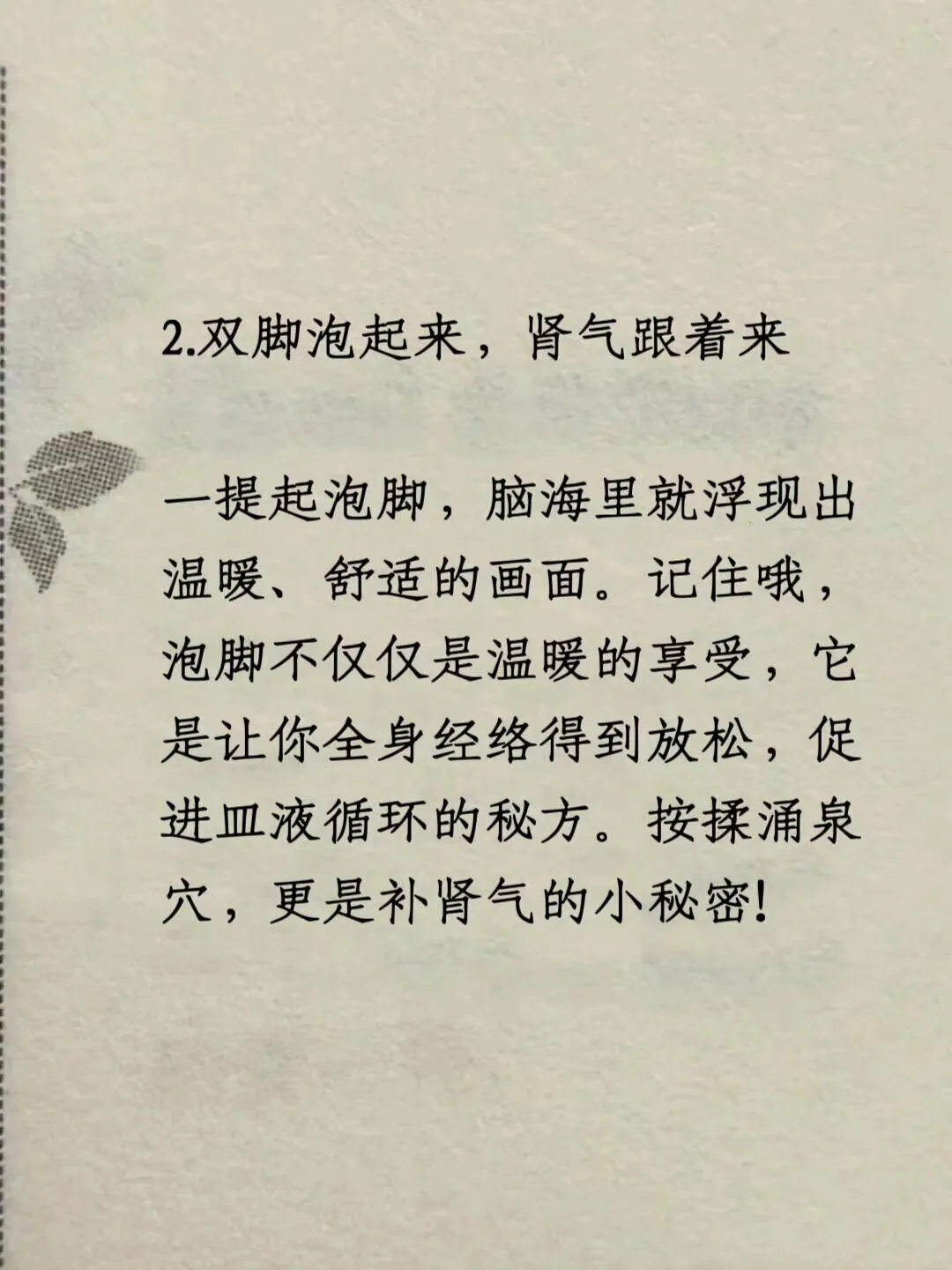 1000288427.webp