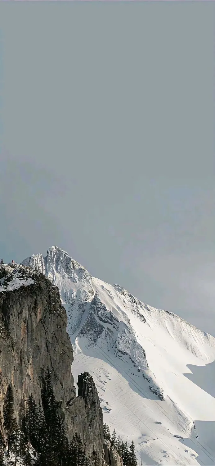 1000290534.webp