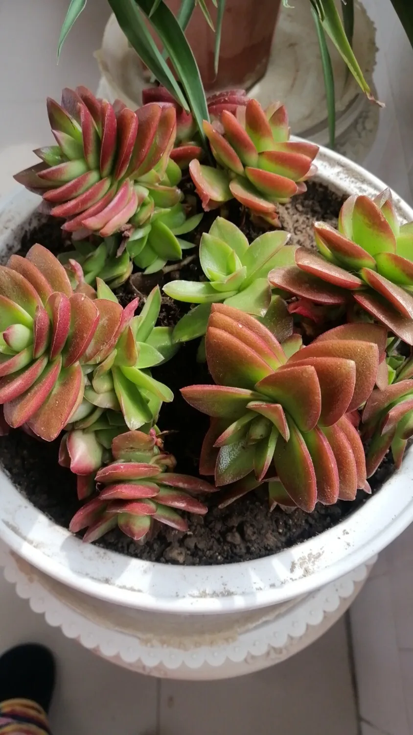 wx_camera_1712283938781.webp