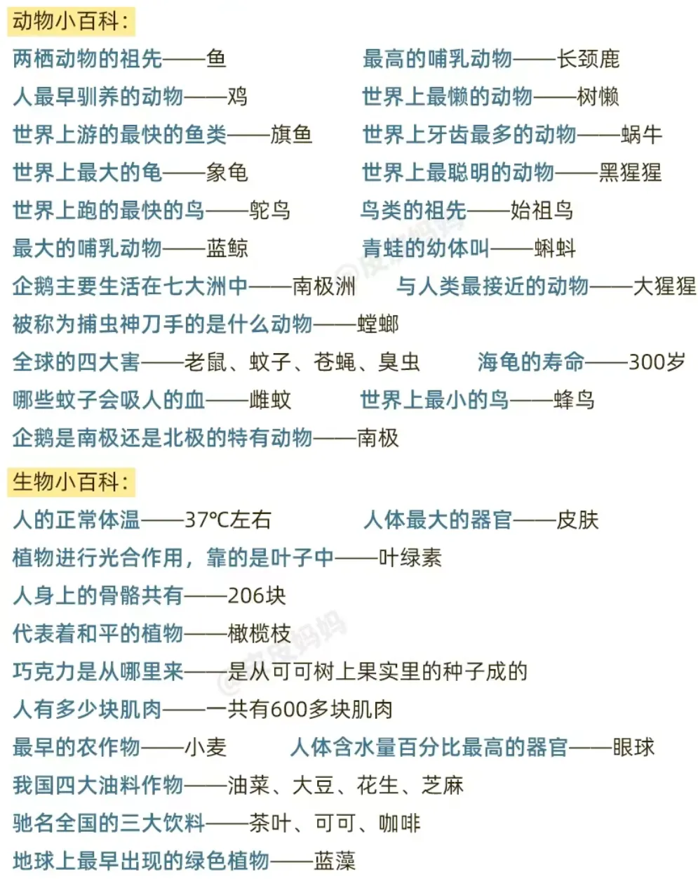 Screenshot_2024_1110_093552.webp