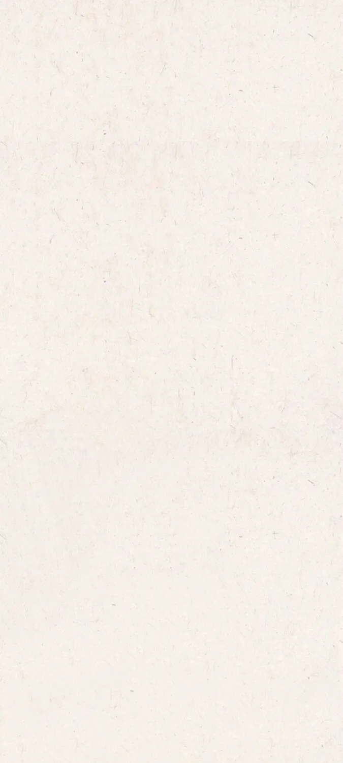 1000023876.webp
