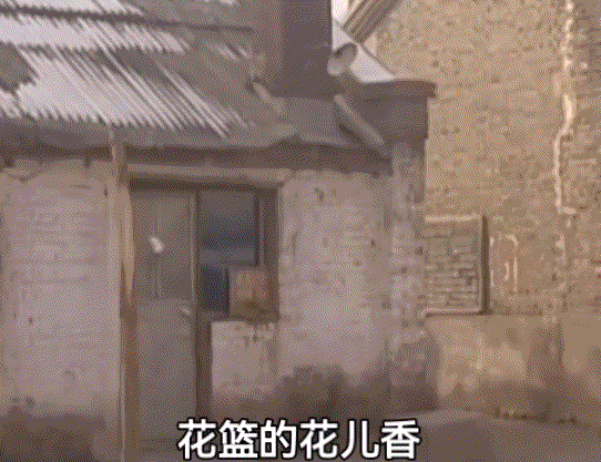 德彪哥掉下水道.gif
