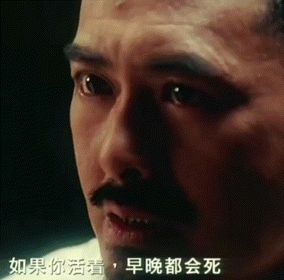 活着早晚会死，死了永远活着.gif