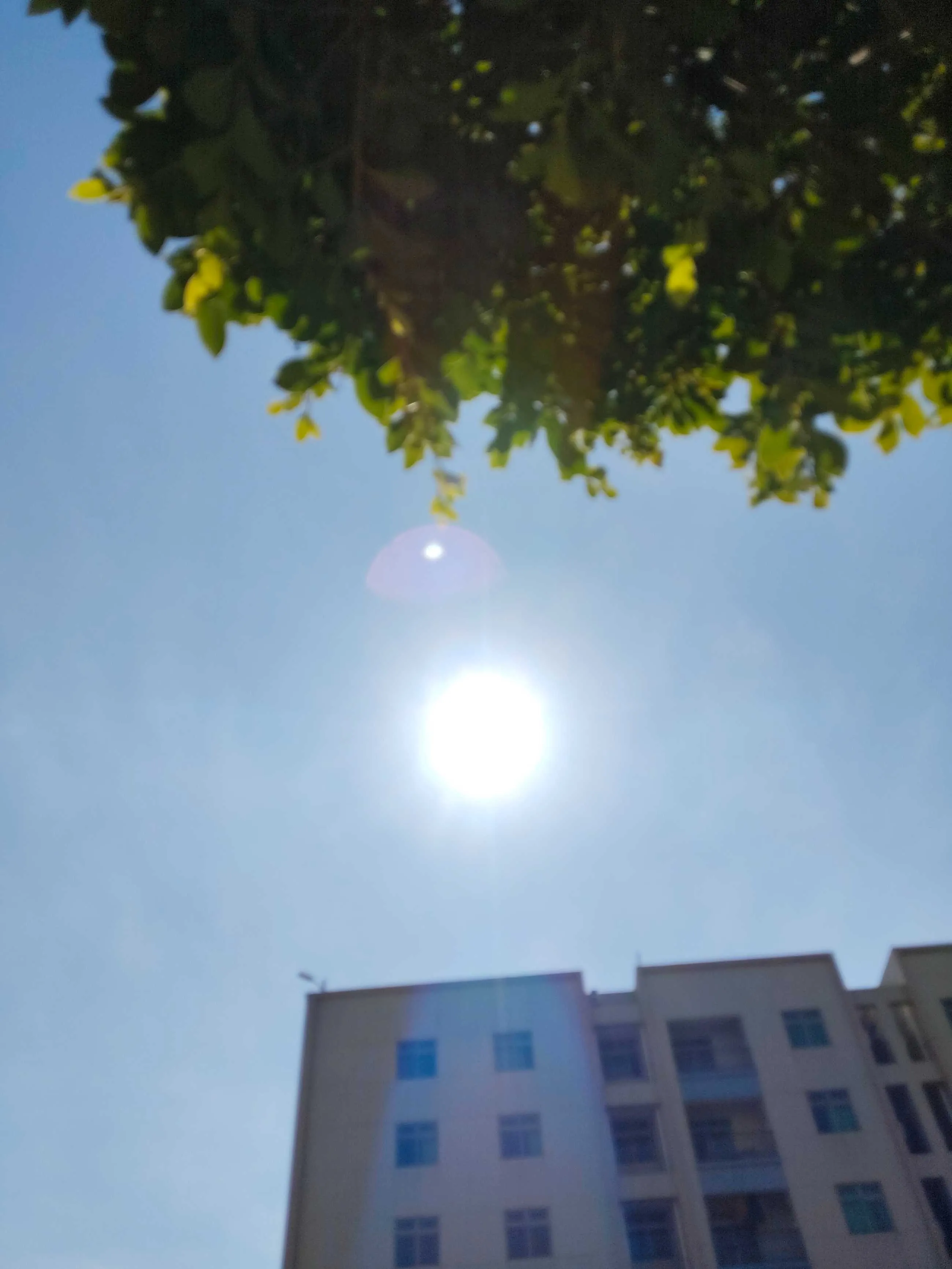 1000003561.webp