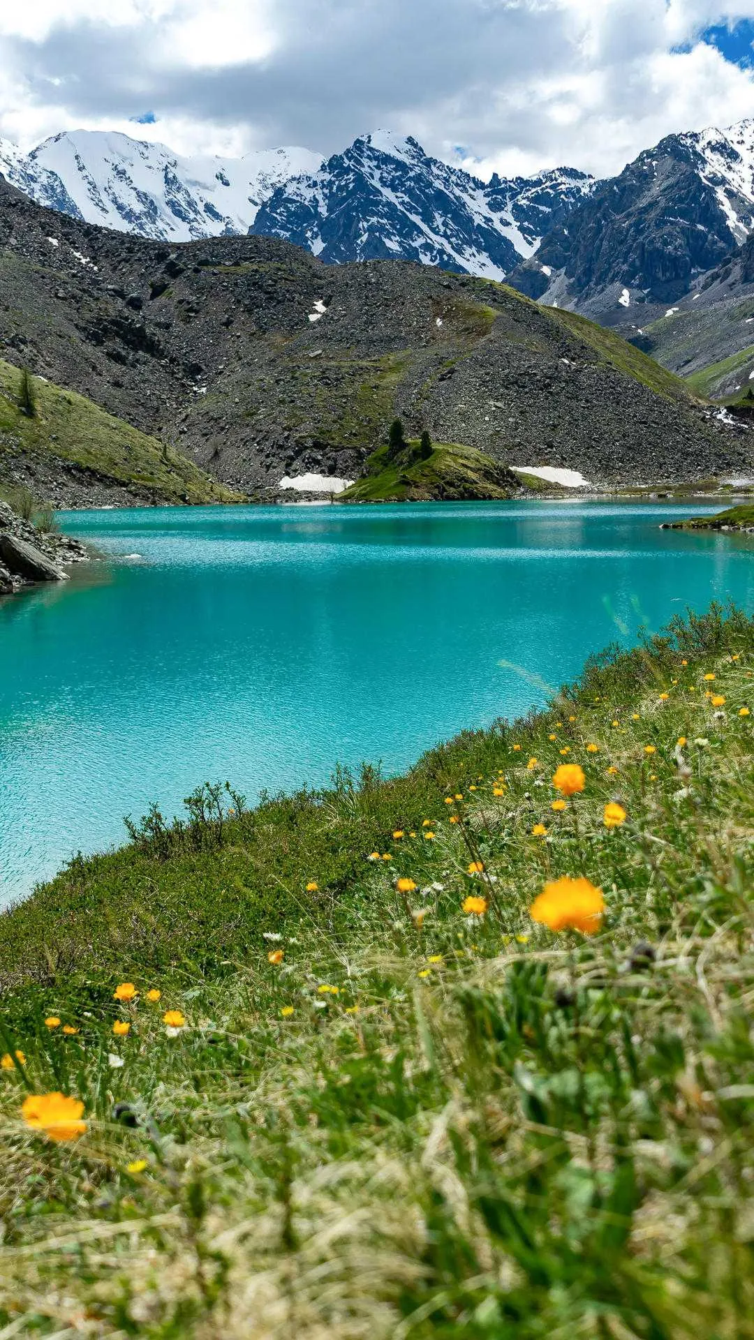 1000011582.webp