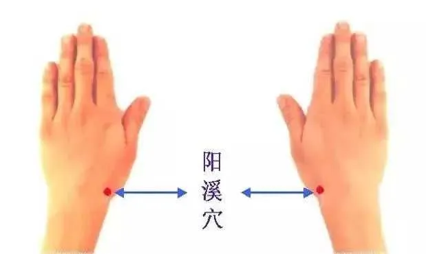 1000011622.webp