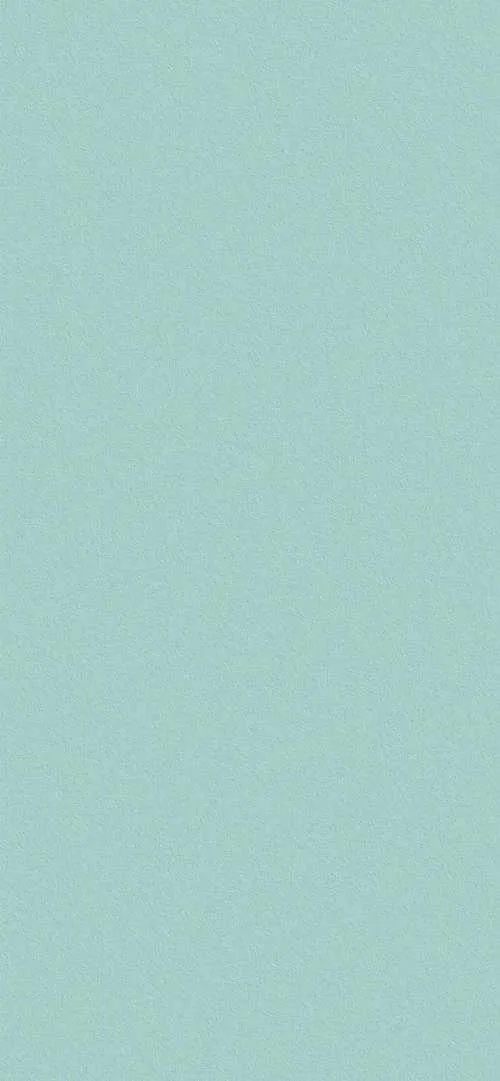 1000029630.webp