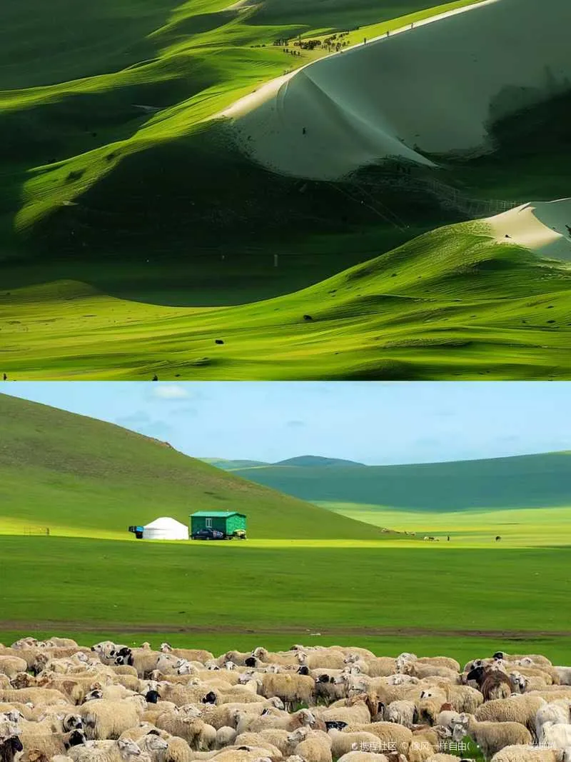 1000011877.webp