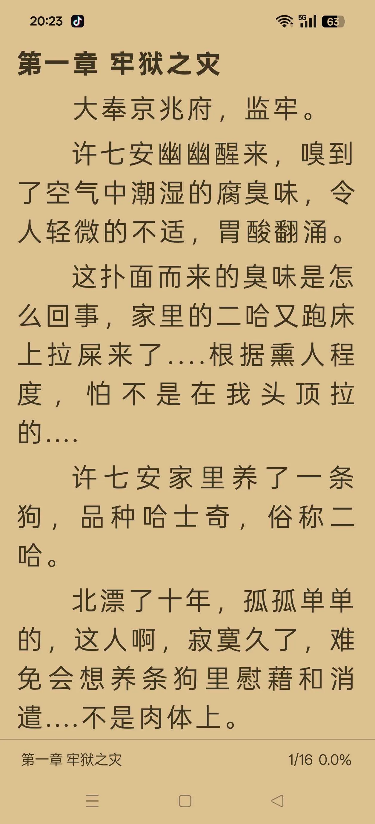 1000011880.webp