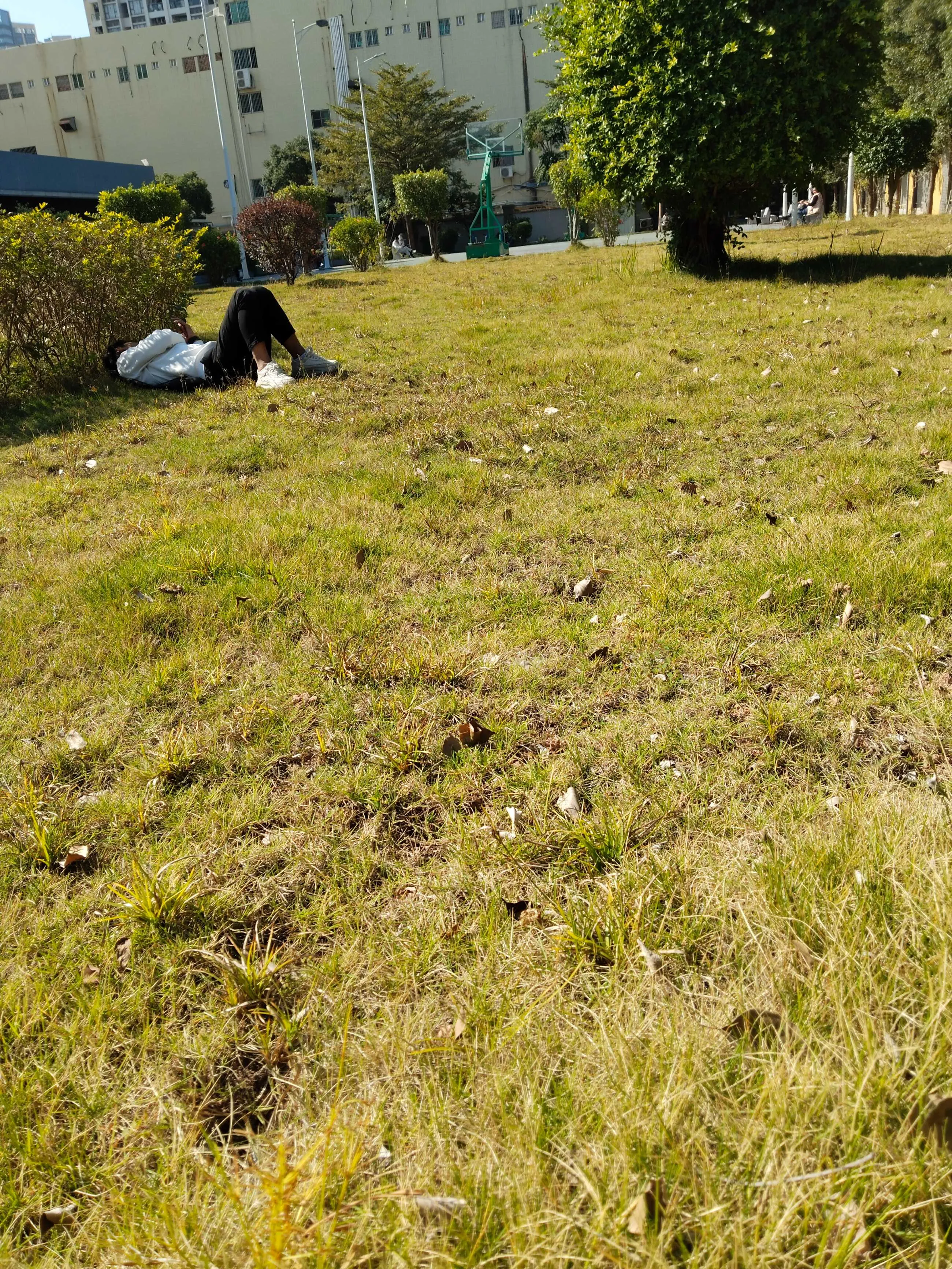 IMG_20241209_123754.webp