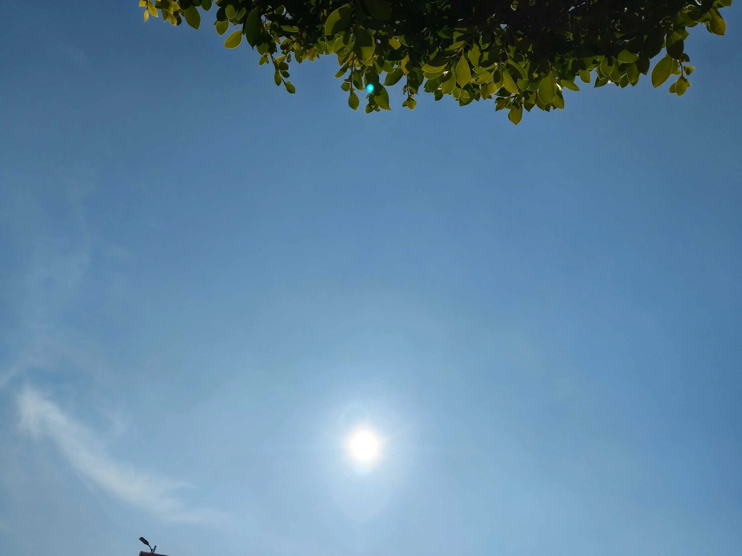 IMG_20241209_123732.webp