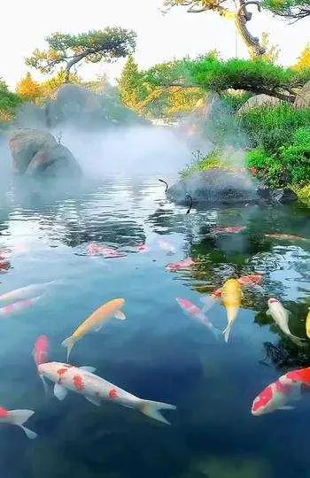 1000012176.webp