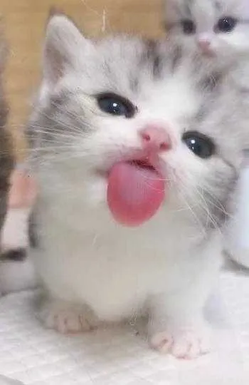 1000012192.webp
