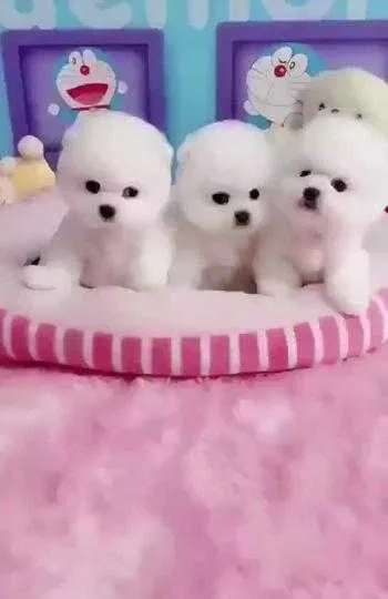 1000012188.webp