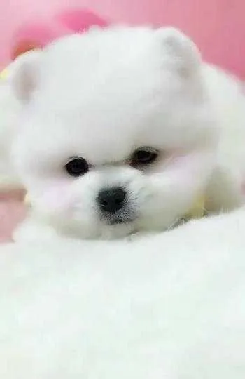 1000012184.webp