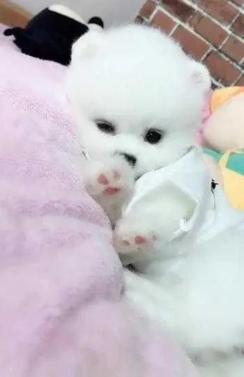 1000012181.webp