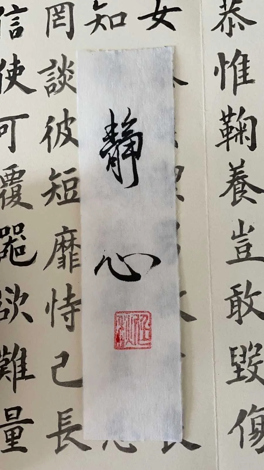 搜图神器_1733841106601.webp