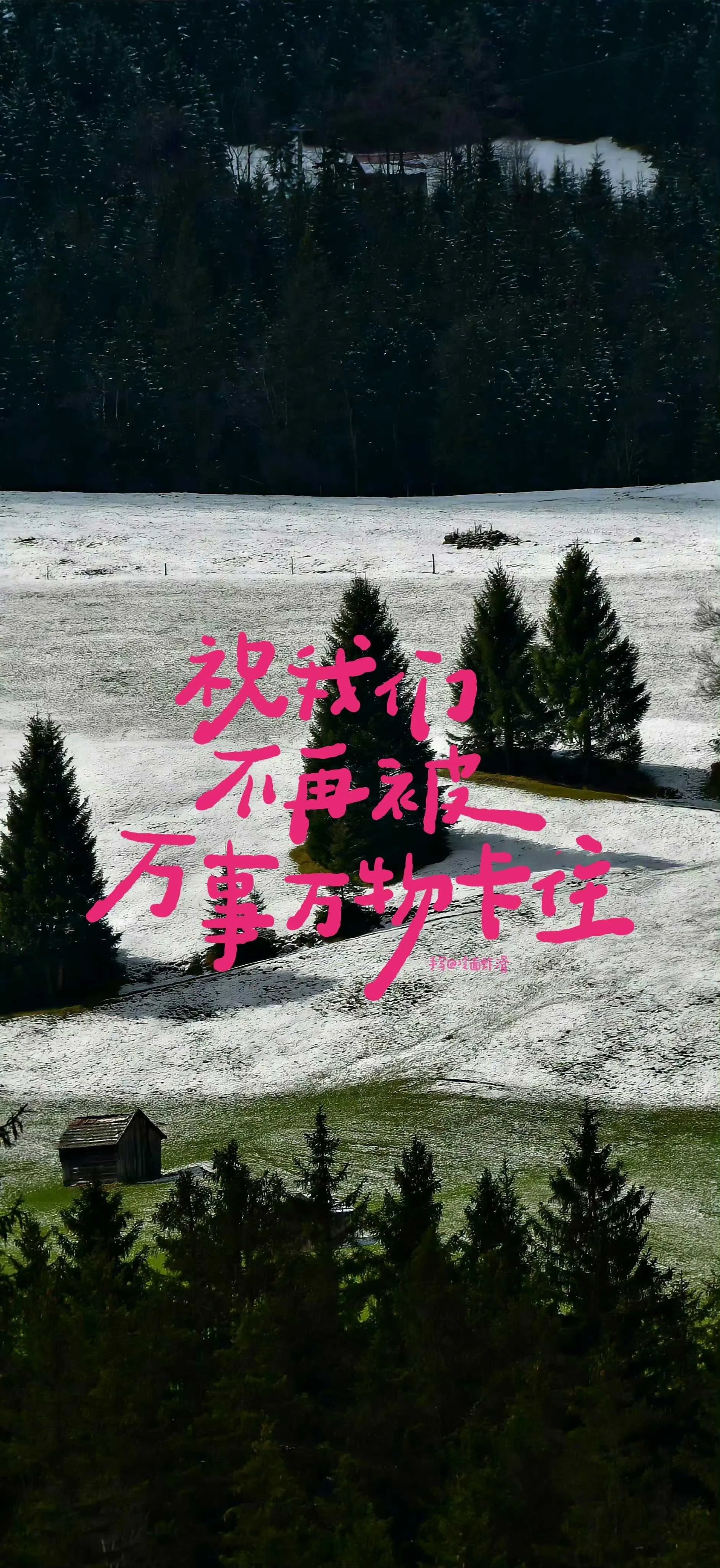 搜图神器_1733886165070.webp