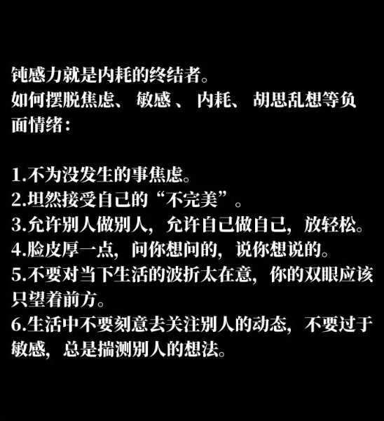 IMG_20241211_140035.webp