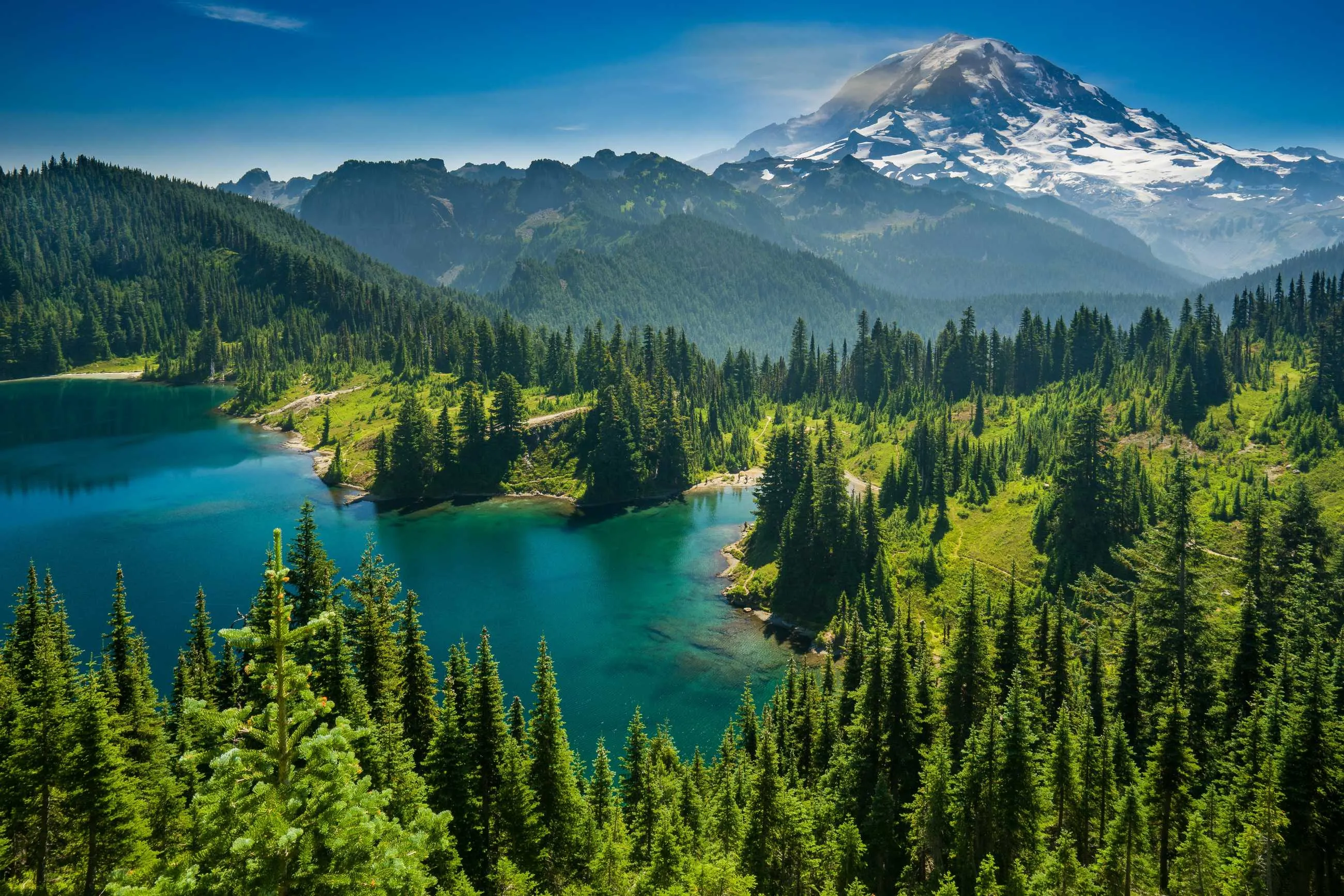 wallhaven-72qyvo.webp
