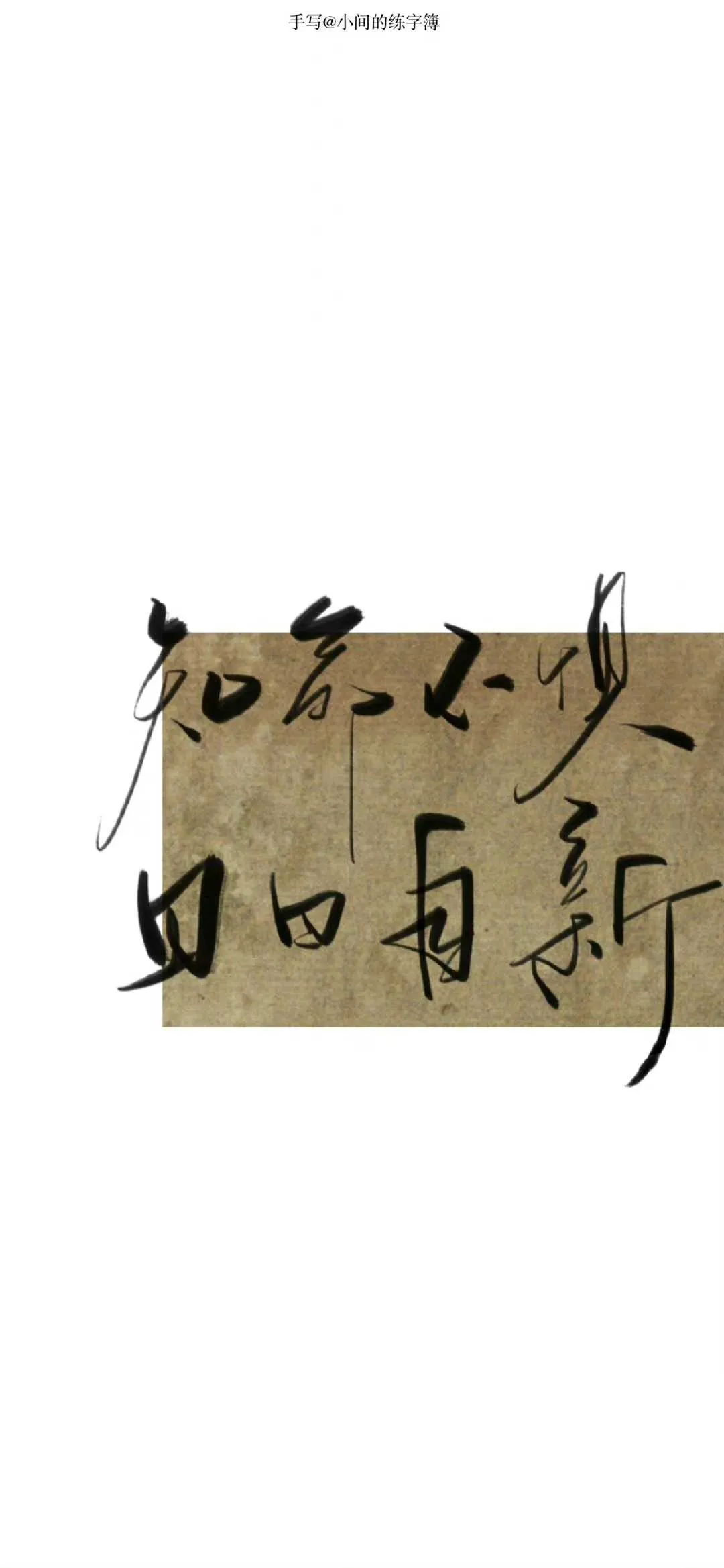 搜图神器_1733986817194.webp