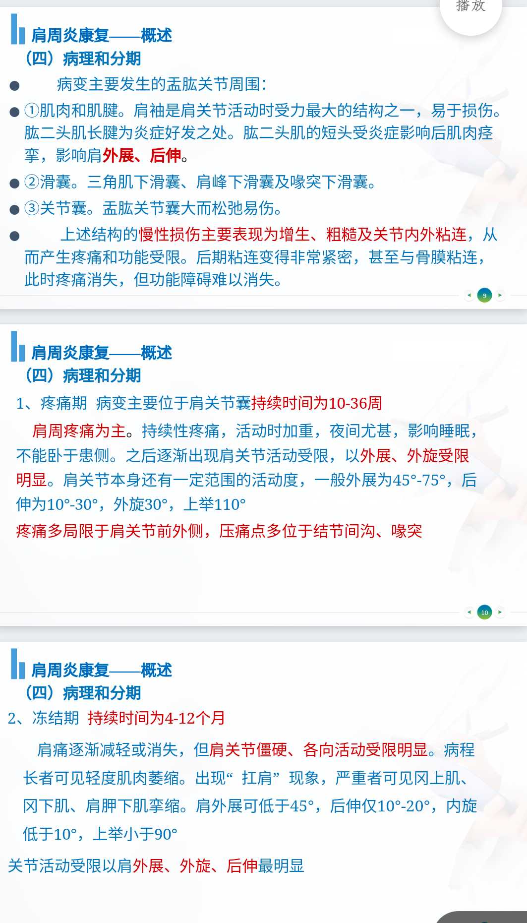 Screenshot_2024_1213_092726.webp