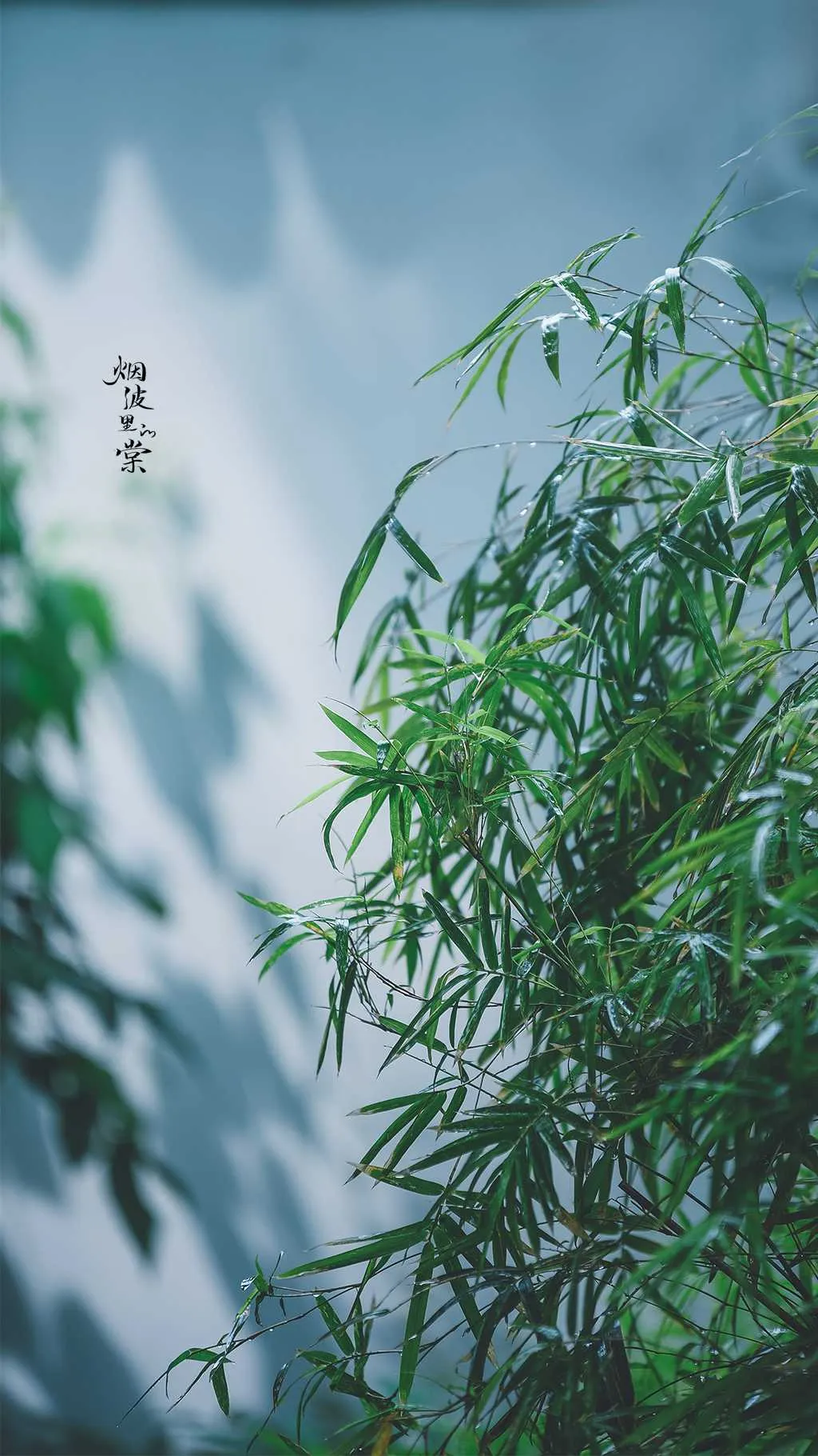 搜图神器_1734015483422.webp