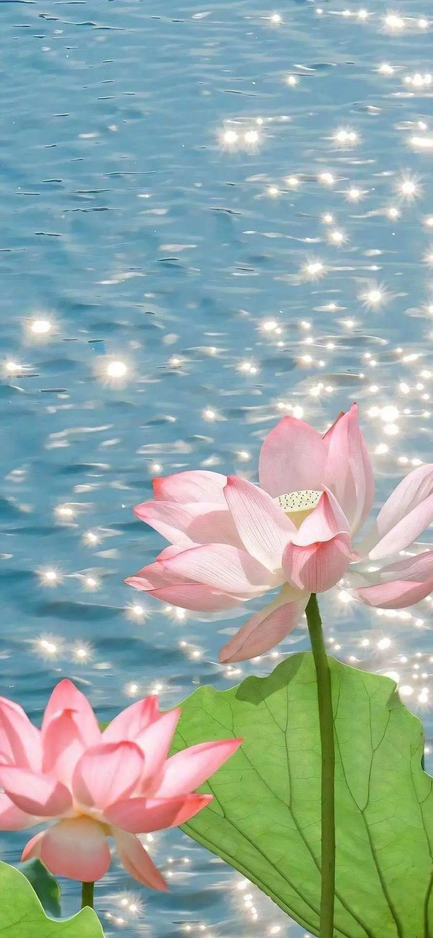 搜图神器_1734015324302.webp