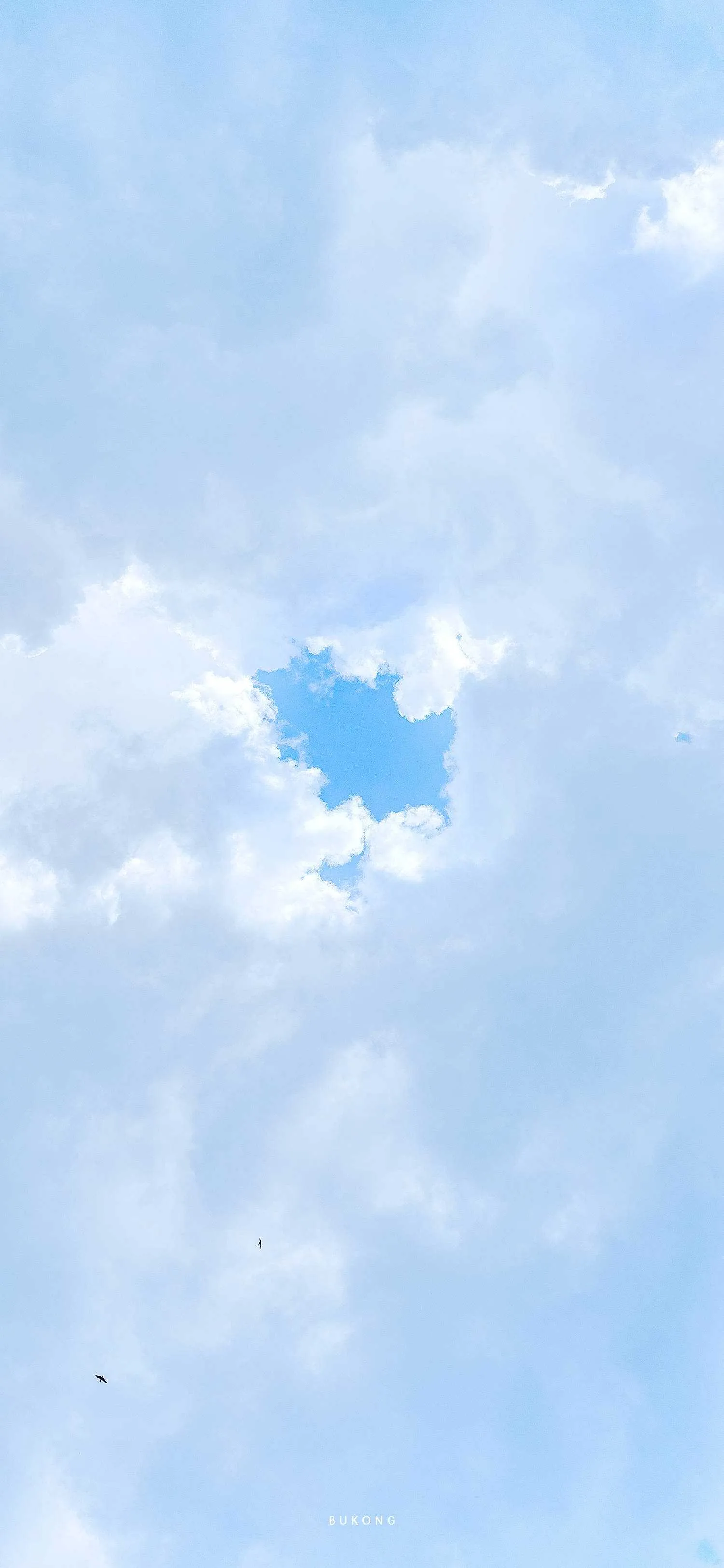 搜图神器_1734100530512.webp