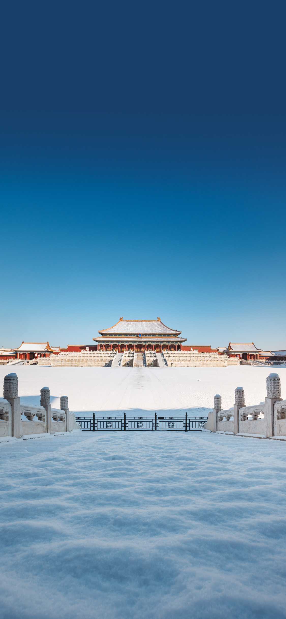 搜图神器_1734099722486.webp
