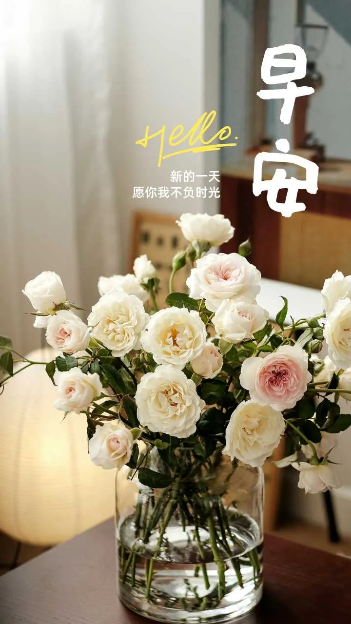 mmexport1734220280466.webp
