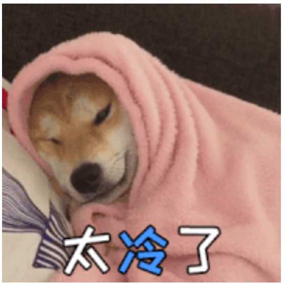 1000003946.webp