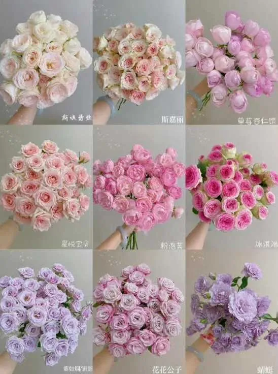 IMG_20241215_163029.webp