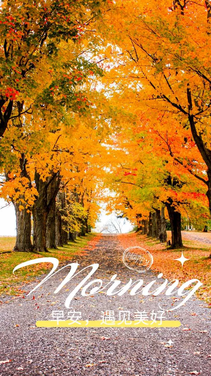 mmexport1734308102015.webp