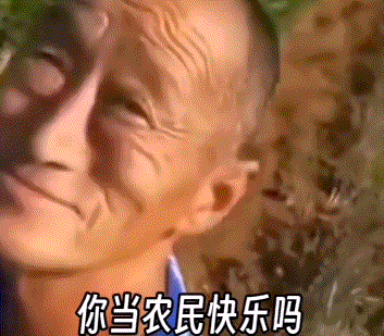我快乐个屌我快乐.gif