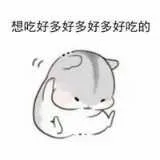IMG_20241216_221110.webp
