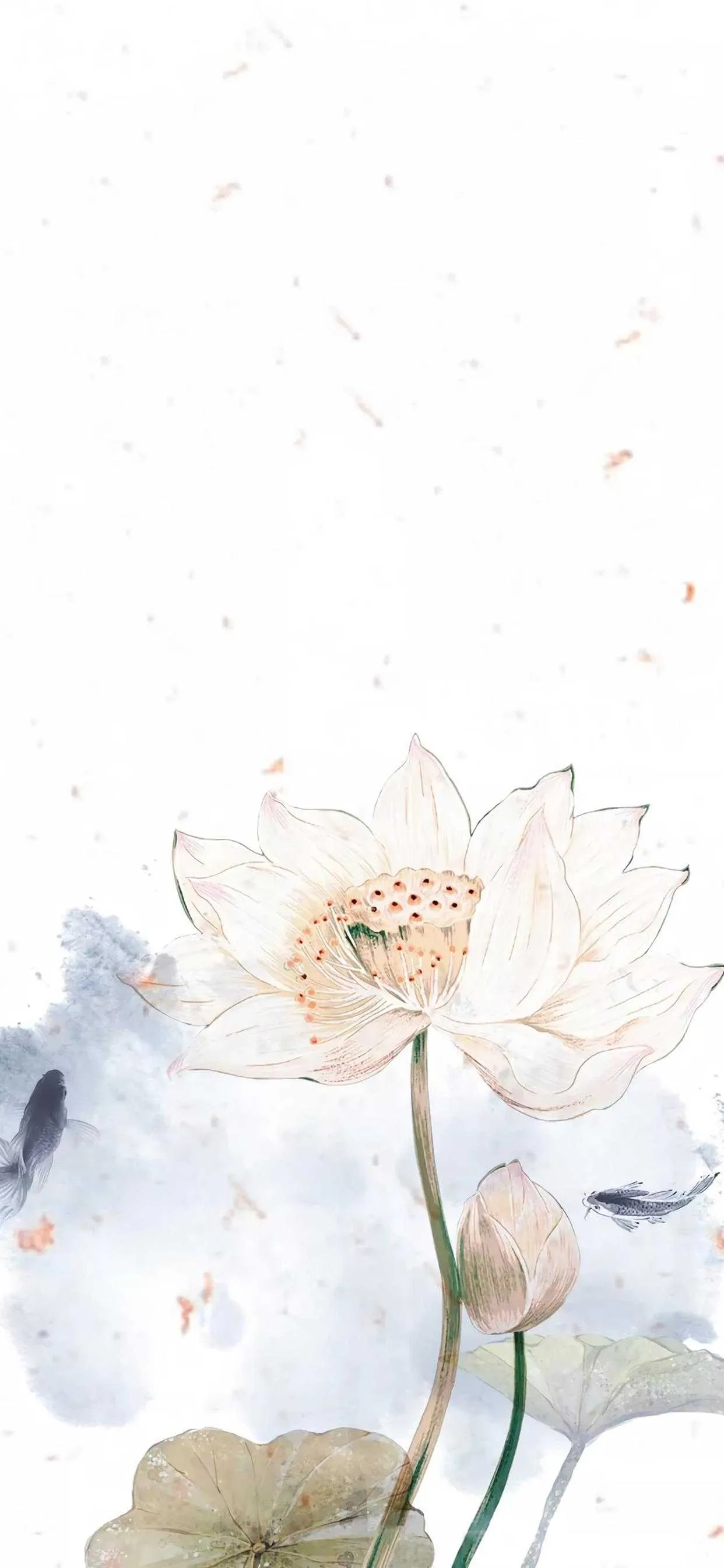搜图神器_1734427226445.webp