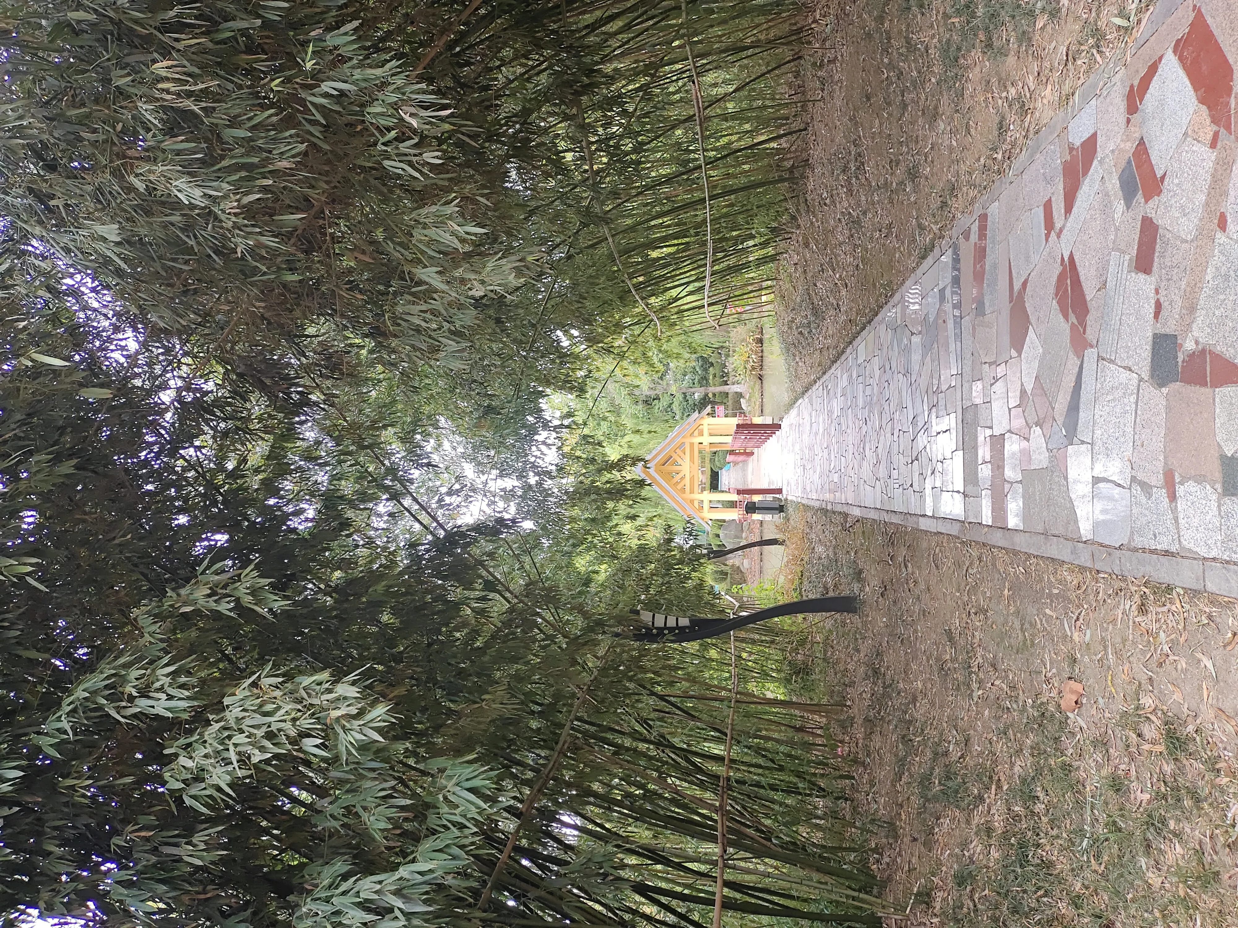 IMG_20241007_140911.webp