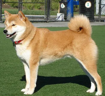1000012989.webp