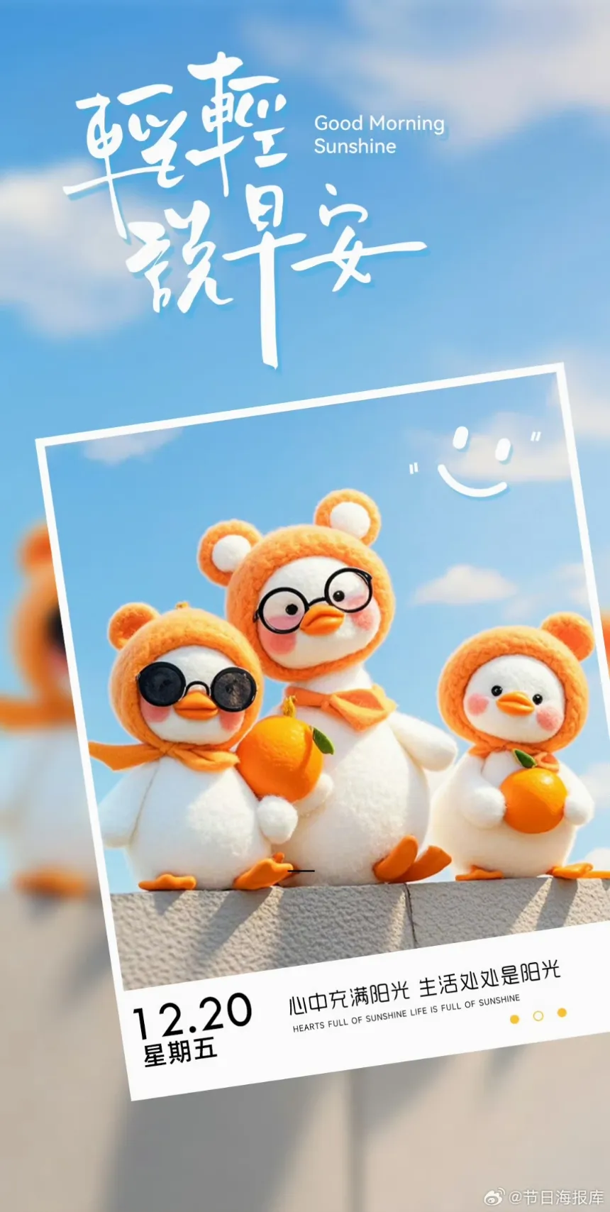 IMG_20241220_070641.webp