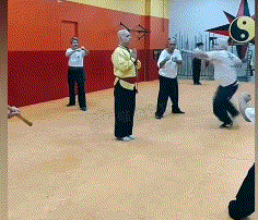 现代大师金刚不坏传统武术.gif