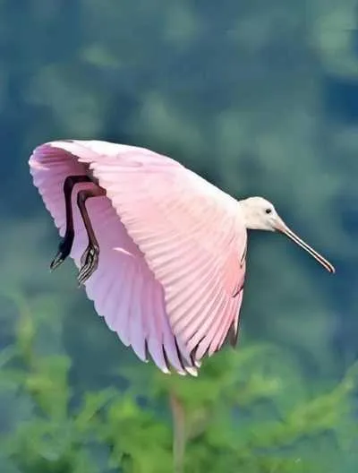 IMG_20241220_214850.webp