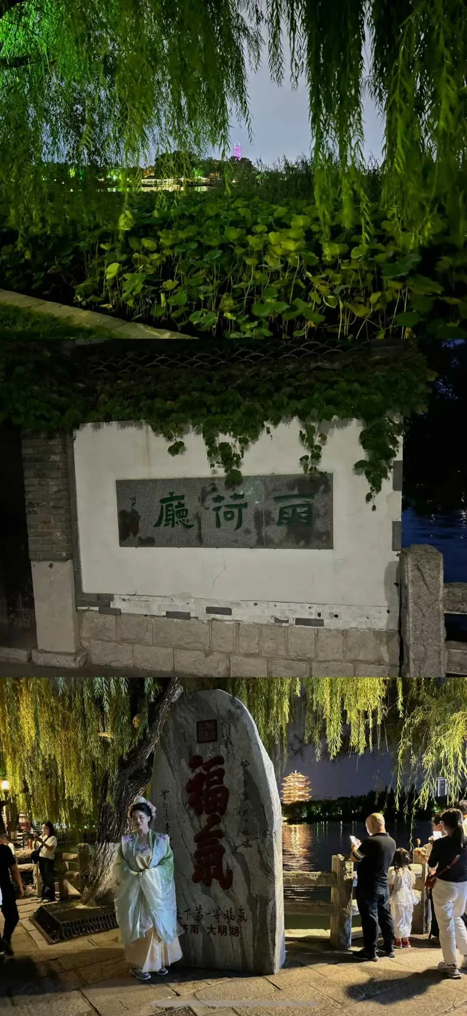 IMG_20241221_092134.webp