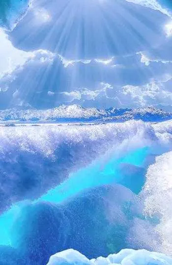 1000013219.webp