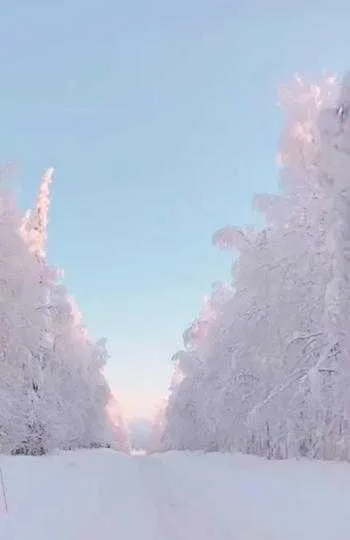 1000013217.webp