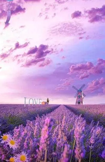 1000013214.webp